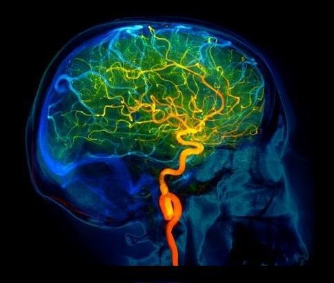 Pro-Angiogenic Scaffold