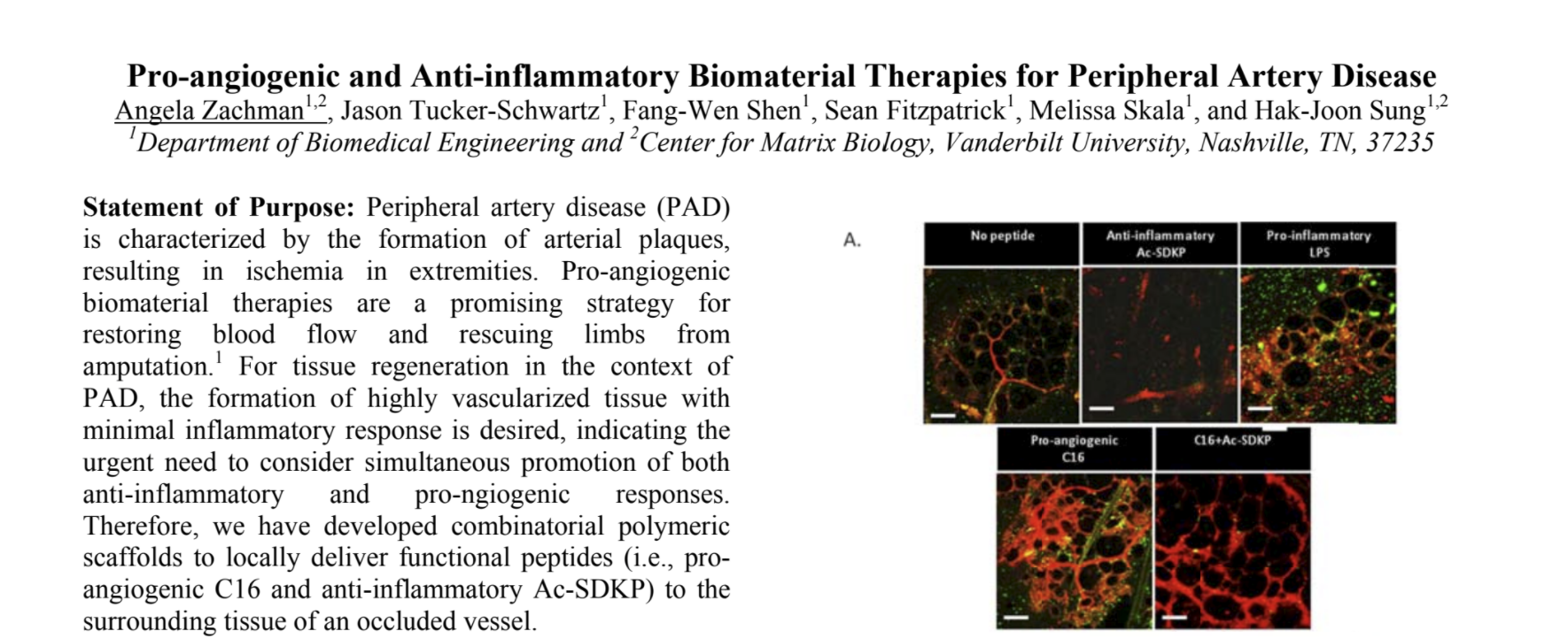 Pro-Angiogenic Pic